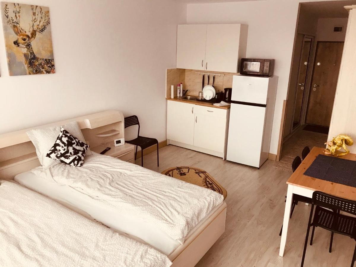 Studio 1O1O1 Apartment Piatra Neamt Exterior photo